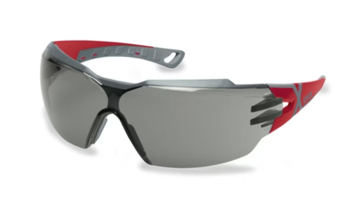 Picture of uvex pheos cx2 glasses Red Frame - Smoke