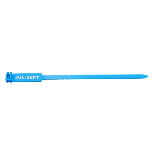 Picture of Rigging / Inspection Tags, "JUL-SEPT" Printed Text, Blue, 100/bag