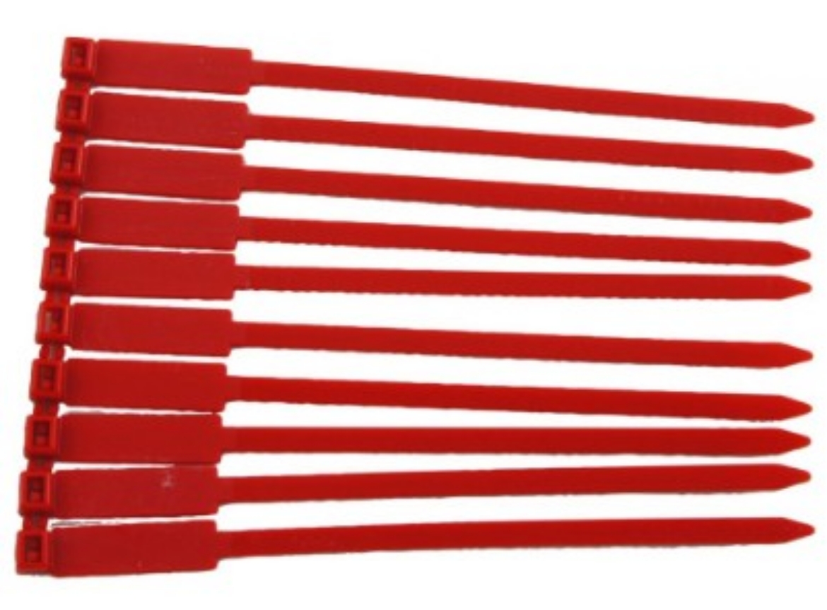 Picture of Rigging / Inspection Tags "Blank" Red