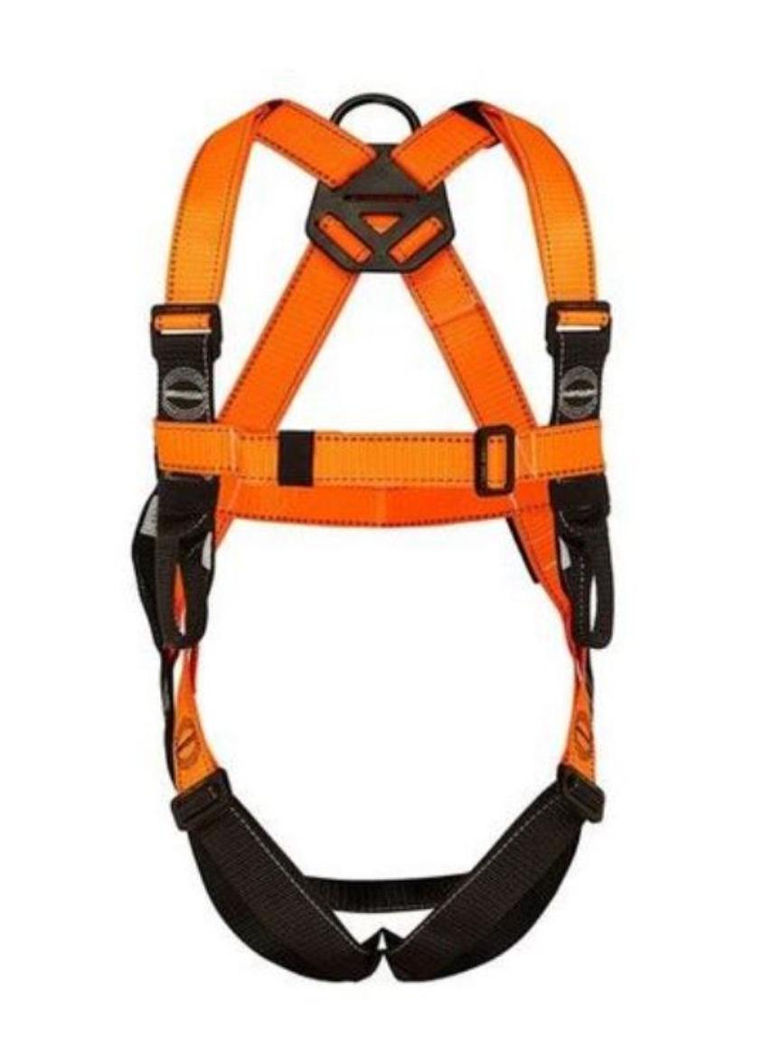 Picture of LINQ Essential Harness - Standard (M - L)