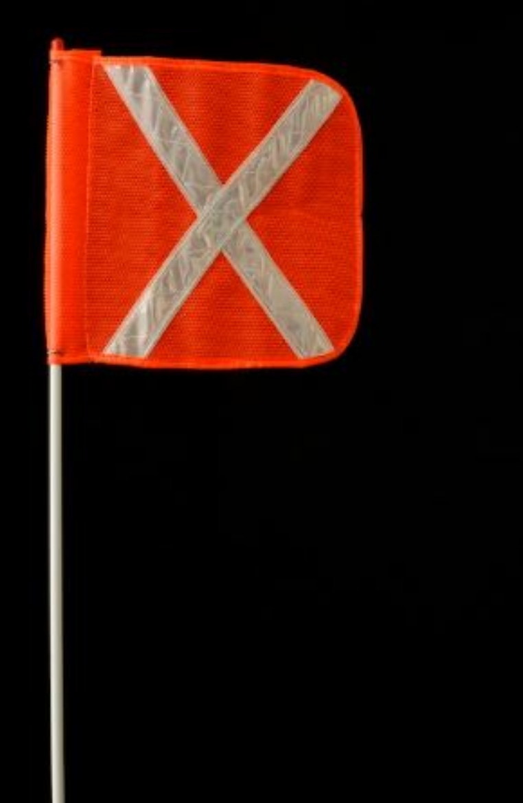 Picture of Checkers 2.5m 2 PIECE FLAGSTAFF/9025 X FLAG/QUICK RELEASES