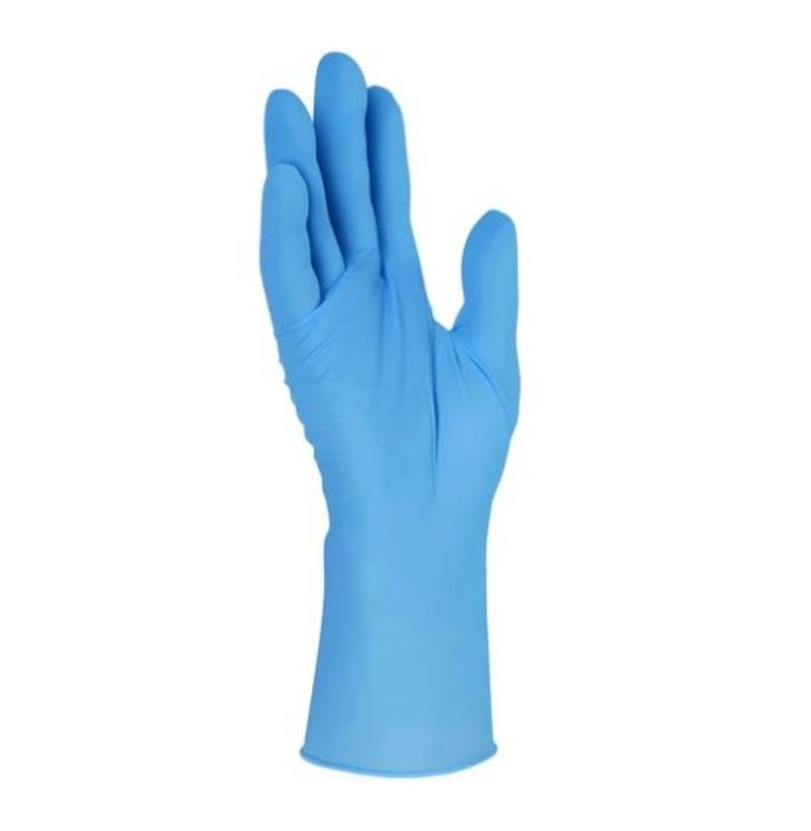 Picture of Proval Foodie Blues Duo PF Vinyl Nitrile Disposable Glove HACCP