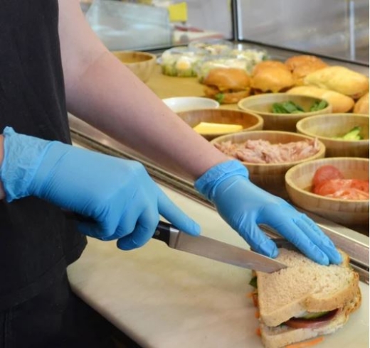 Picture of Proval Foodie Blues Duo PF Vinyl Nitrile Disposable Glove HACCP